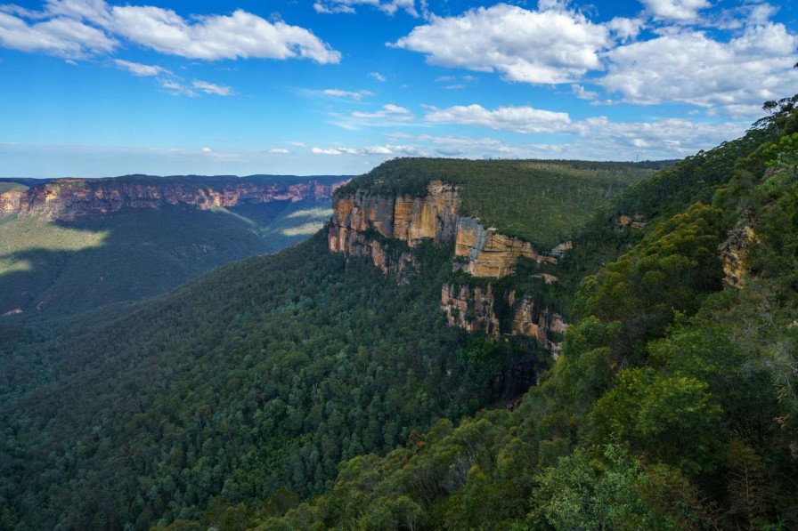 Landschap Wallgroup | Nationaal Park Blue Mountains In Australie Fotobehang