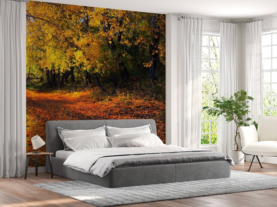 Natuur Wallgroup | Herfstbos Met Bomen En Bladeren Fotobehang