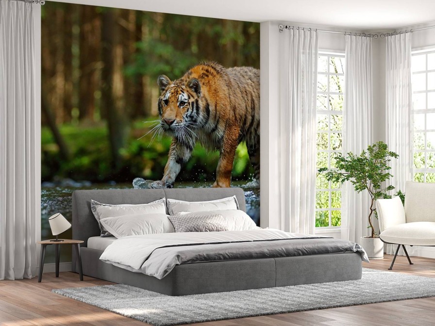 Dieren Wallgroup | Tijger Op Een Rivier Fotobehang