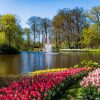 Landschap Wallgroup | Het Keukenhof Park Met Tulpen Fotobehang