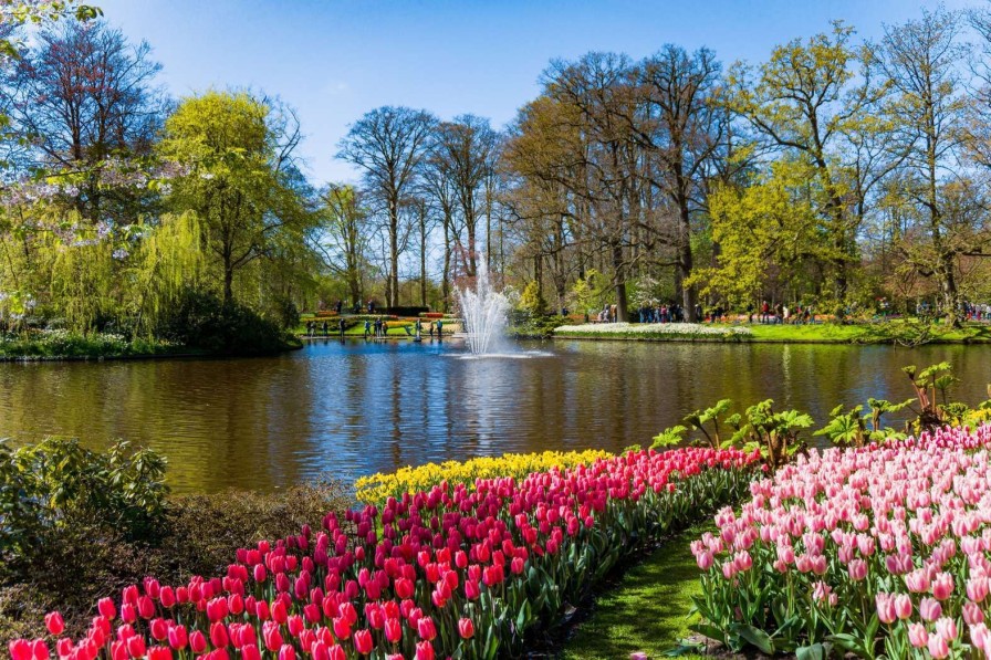 Landschap Wallgroup | Het Keukenhof Park Met Tulpen Fotobehang