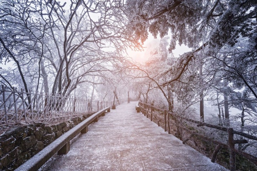 Natuur Wallgroup | Huangshan National Park In De Winter Fotobehang