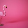 Dieren Wallgroup | Flamingo Van Kunstof Met Een Roze Achtergrond Fotobehang