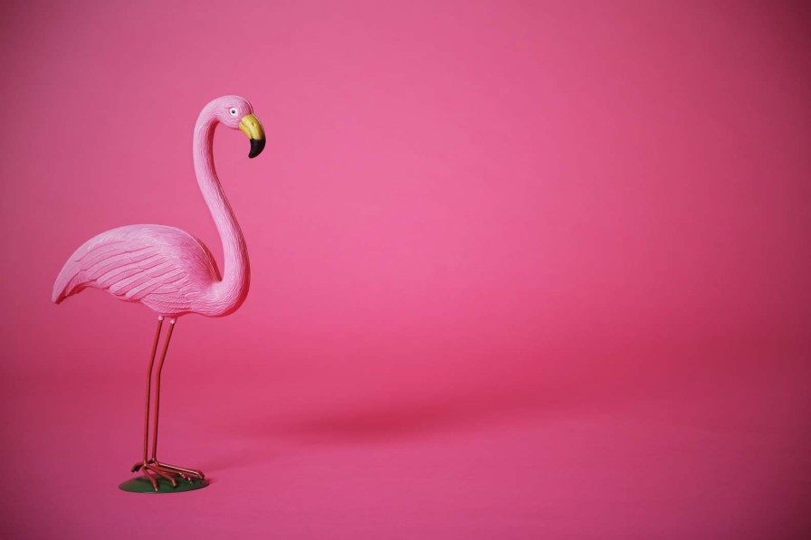 Dieren Wallgroup | Flamingo Van Kunstof Met Een Roze Achtergrond Fotobehang