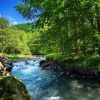 Natuur Wallgroup | Stromende Rivier In Het Bos In Zomer Fotobehang