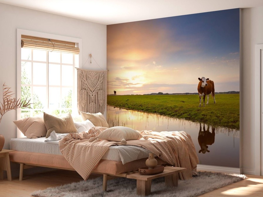 Dieren Wallgroup | Koeien In Een Weiland Fotobehang