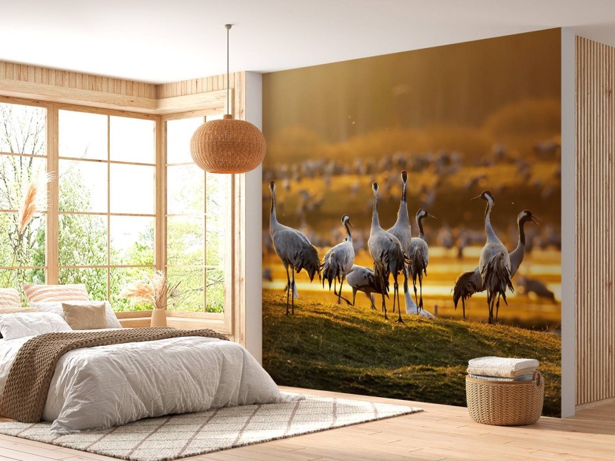 Dieren Wallgroup | Kraanvogels In De Ochtend Fotobehang