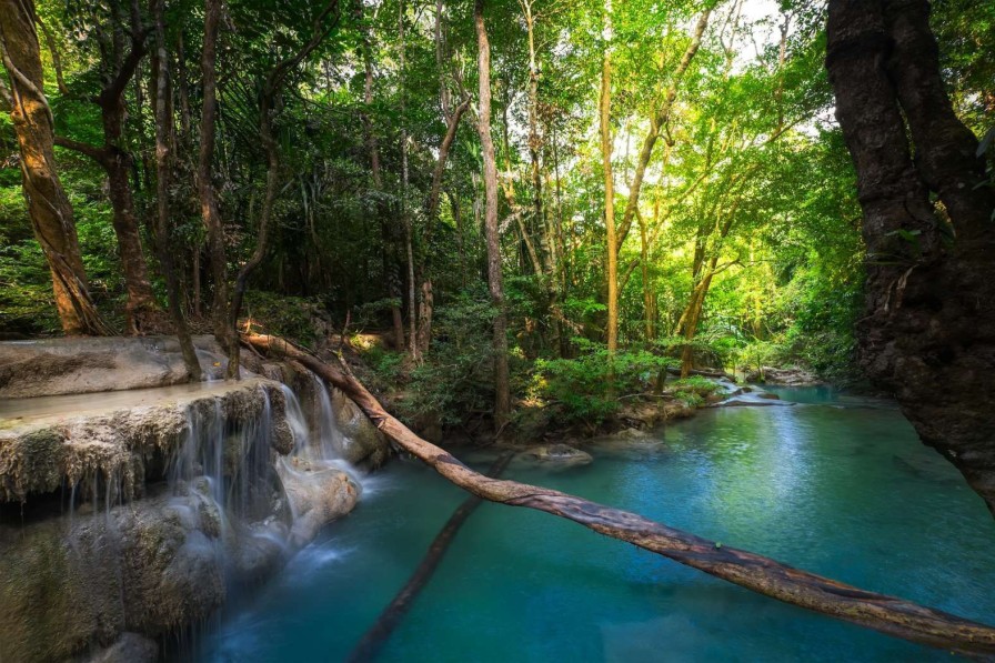 Landschap Wallgroup | Waterval In Een Tropisch Regenwoud Fotobehang