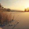 Natuur Wallgroup | Riet Op Het Strand Bij Zonsondergang Fotobehang