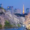 Architectuur Wallgroup | Sakura Kersenbloesem Met De Tokyo Tower Op De Achtergrond Fotobehang