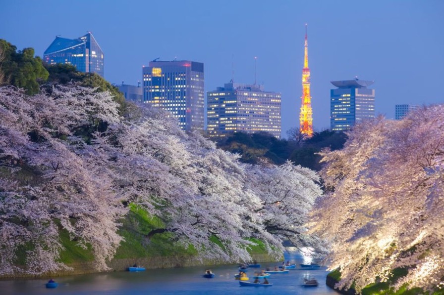 Architectuur Wallgroup | Sakura Kersenbloesem Met De Tokyo Tower Op De Achtergrond Fotobehang