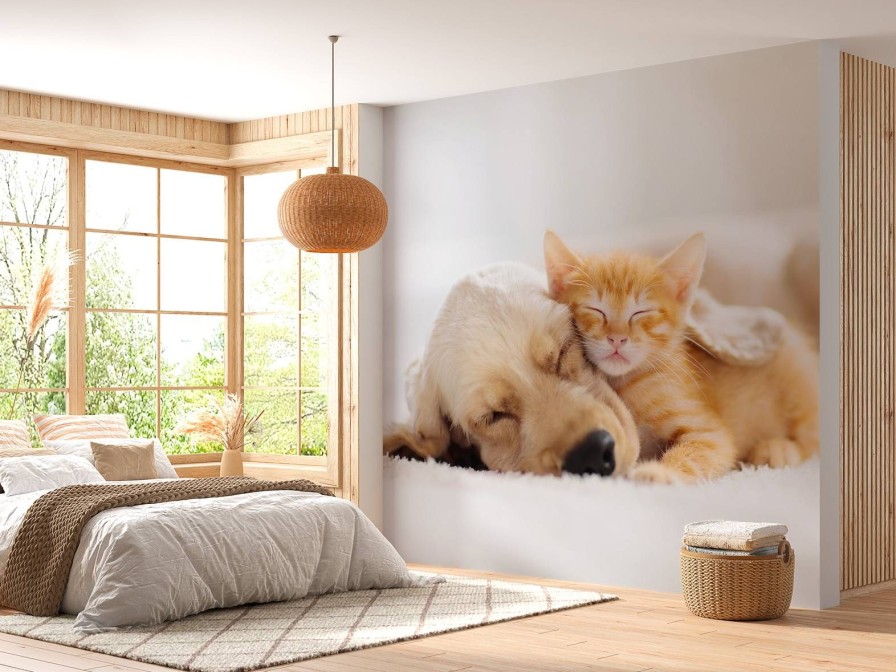 Dieren Wallgroup | Hond En Kat Slapen Knuffelend Fotobehang