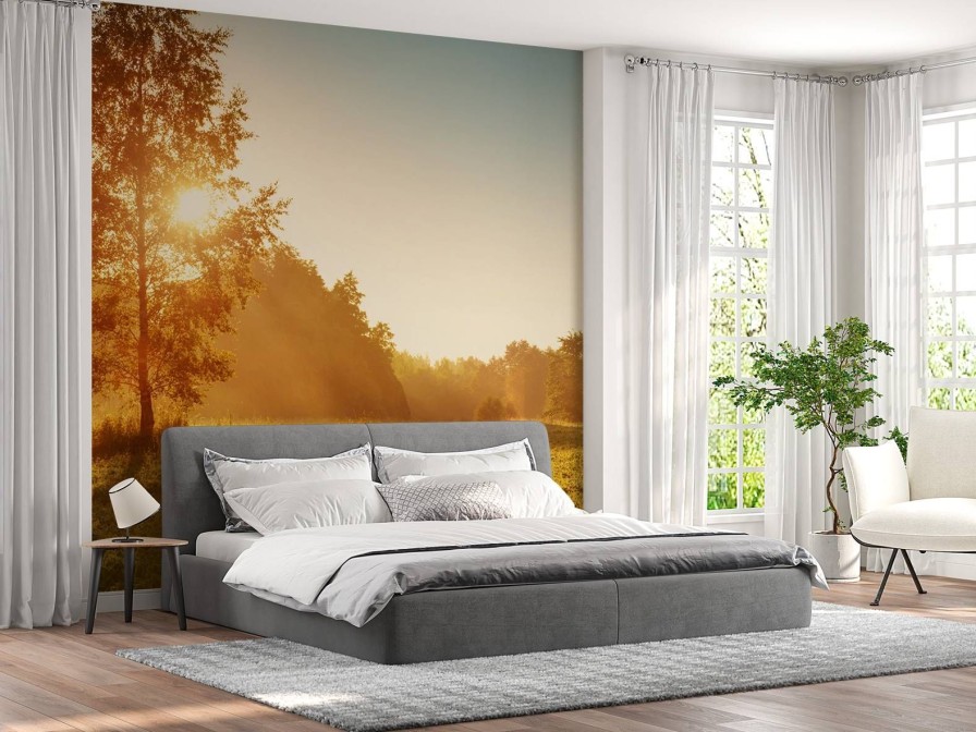 Natuur Wallgroup | Weiland Bij Zonsopkomst Fotobehang