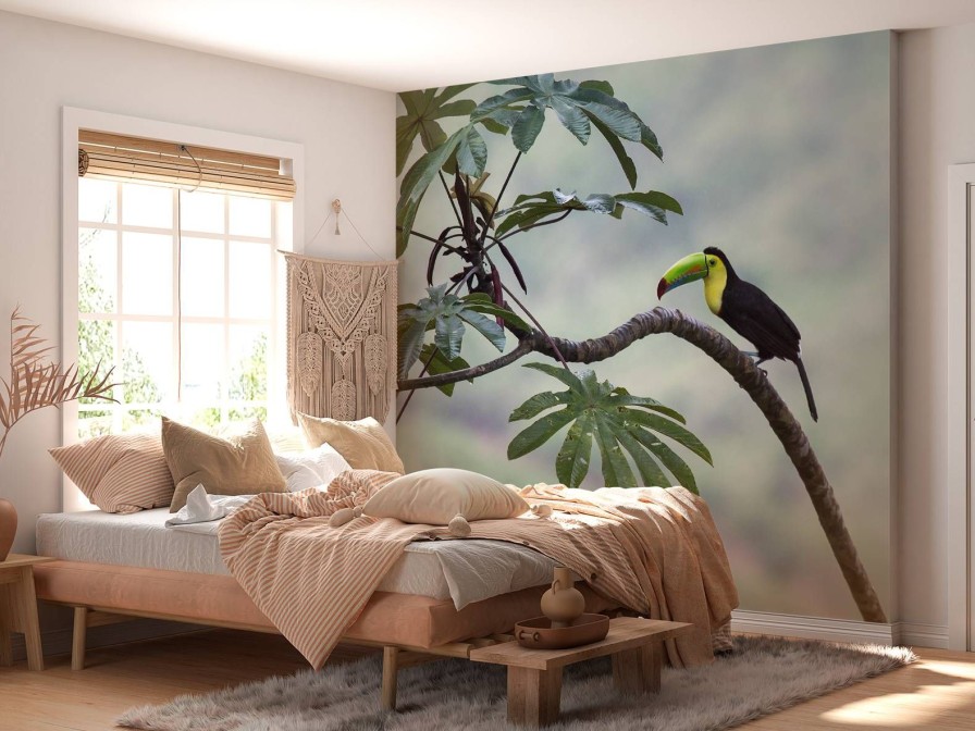 Natuur Wallgroup | Exotische Vogel Op Een Tak Fotobehang