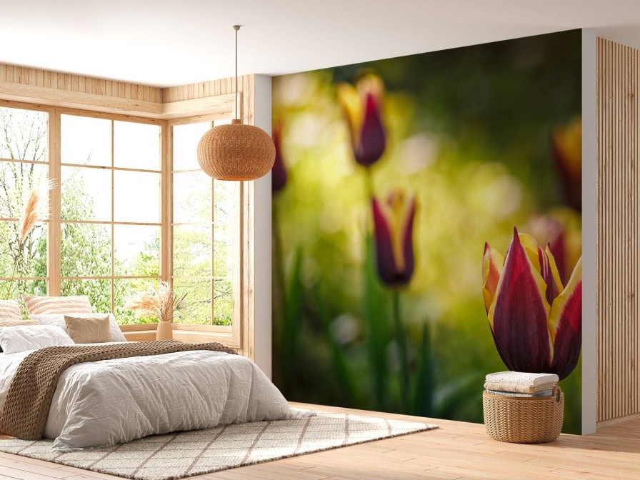 Natuur Wallgroup | Rood-Gele Tulpen Close-Up Fotobehang