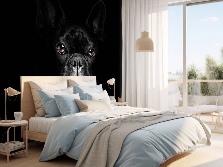 Dieren Wallgroup | Schattige Bulldog Met Een Zwarte Achtergrond Fotobehang