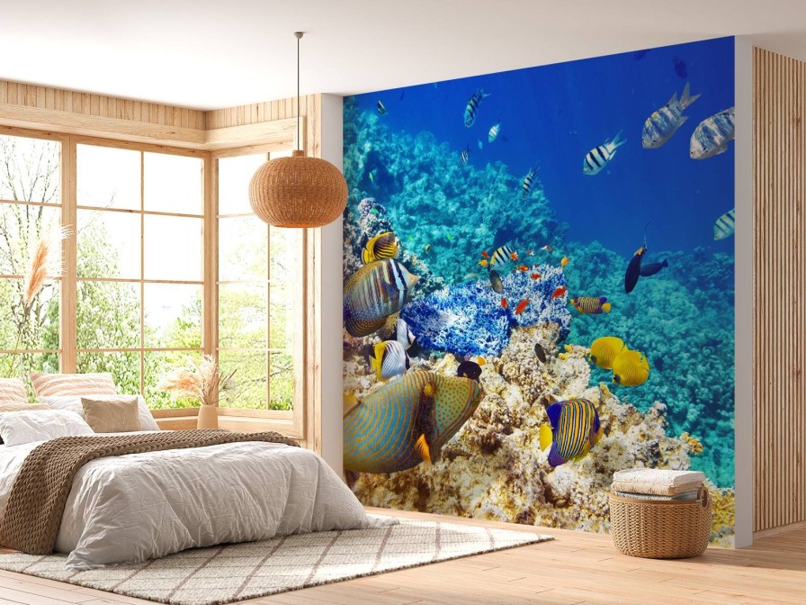 Landschap Wallgroup | Exotische Vissen In De Oceaan Fotobehang