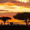 Natuur Wallgroup | Safari In Afrika Bij Zonsondergang Fotobehang