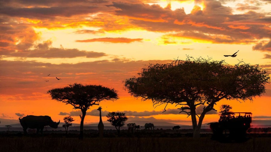 Natuur Wallgroup | Safari In Afrika Bij Zonsondergang Fotobehang