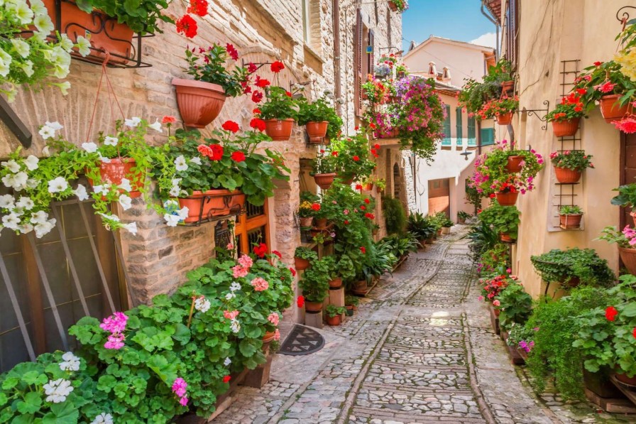 Natuur Wallgroup | Gezellig Straatje Met Bloemen In Italie Fotobehang