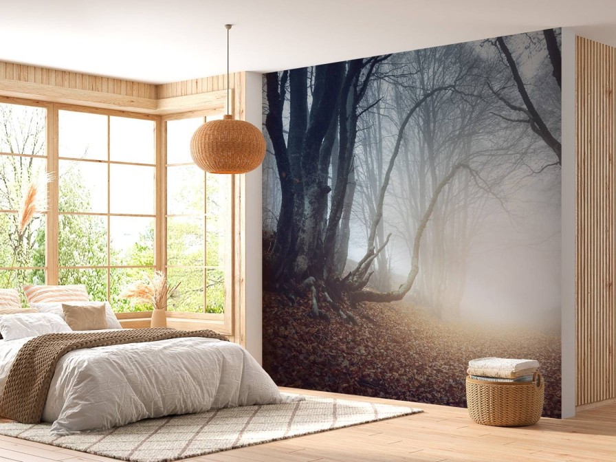 Natuur Wallgroup | Donker Mistig Bos Fotobehang