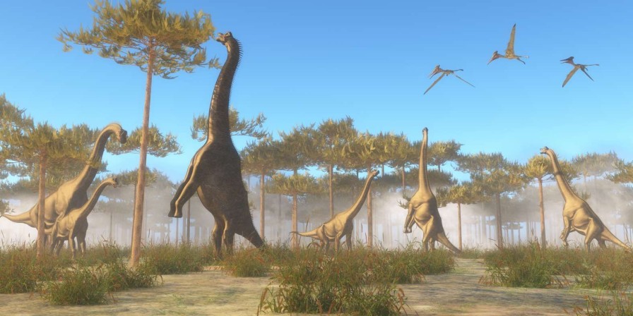 Dieren Wallgroup | Dinosaurussen In De Mist Fotobehang