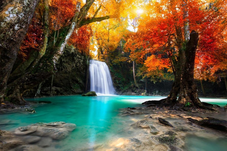 Natuur Wallgroup | Waterval In Het Diepe Woud Fotobehang