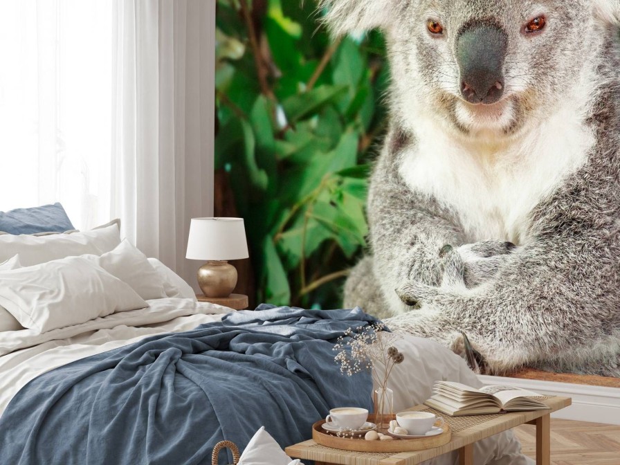 Dieren Wallgroup | Australische Koala In Een Boom Fotobehang