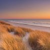 Landschap Wallgroup | Zonsondergang Op De Duinen Fotobehang