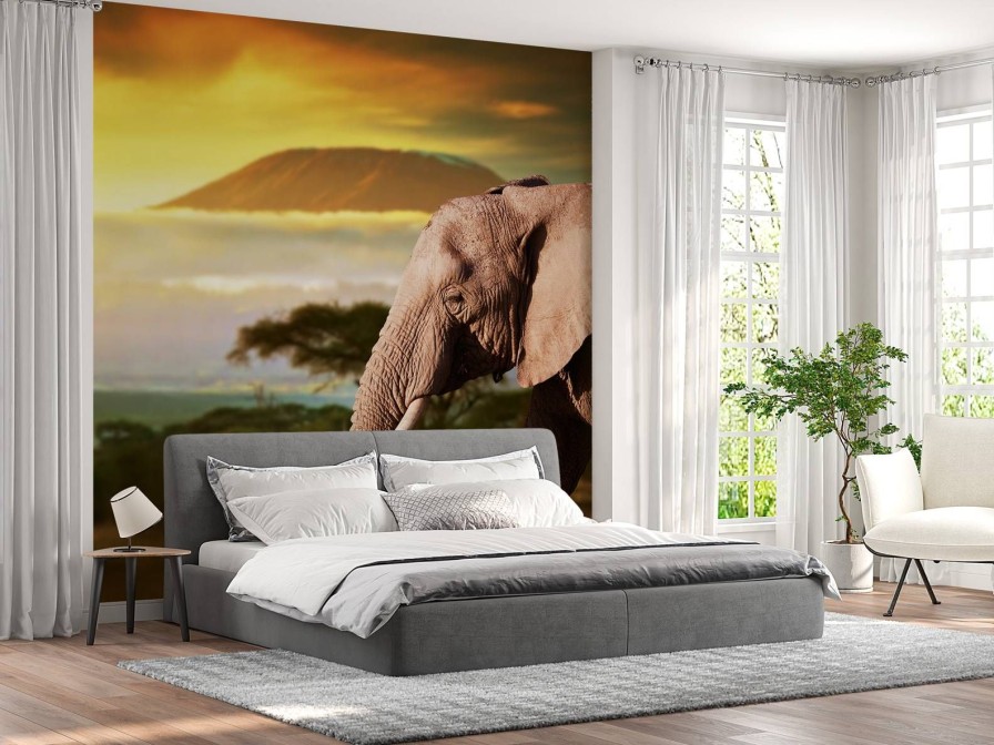 Landschap Wallgroup | Olifant In Een Savanne Landschap Bij Zonsondergang Fotobehang