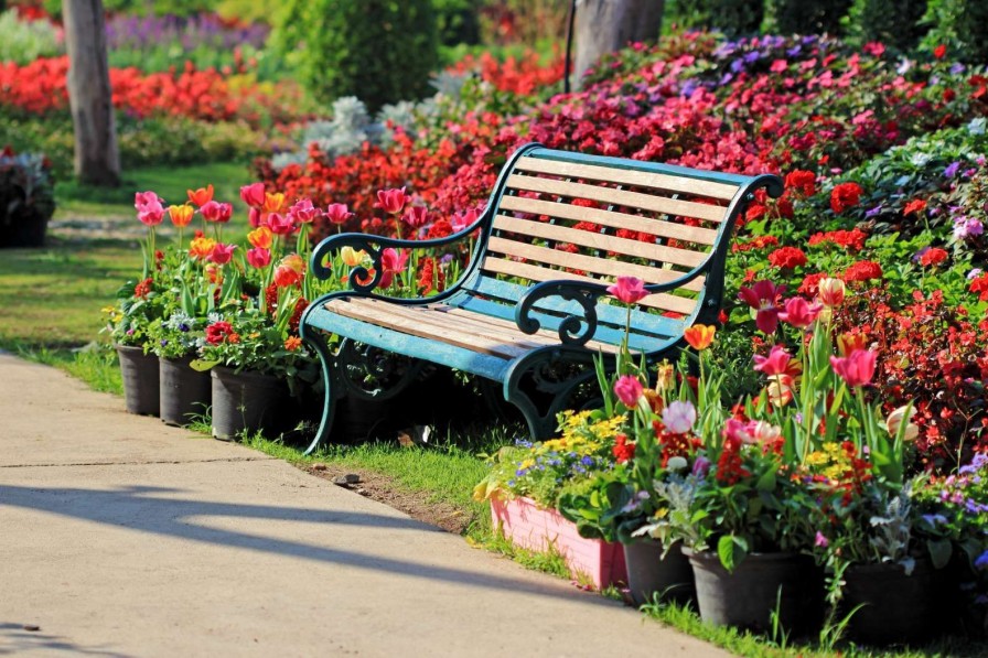 Landschap Wallgroup | Park Met Kleurrijke Tulpen Fotobehang