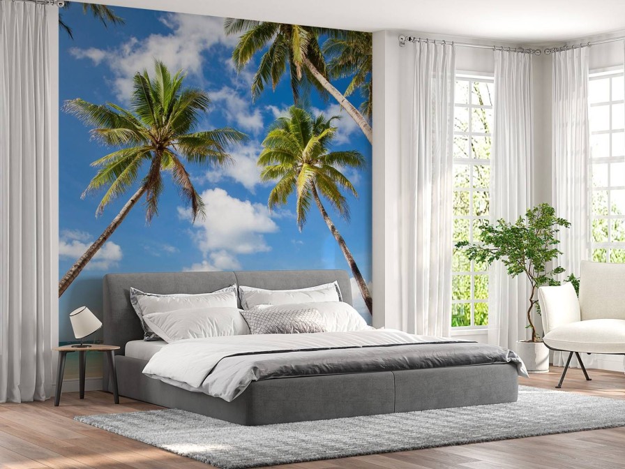 Landschap Wallgroup | Palmbomen Met Uitzicht Op Een Haven Fotobehang