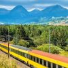 Transport Wallgroup | Trein Door Een Bos In Slowakije Fotobehang