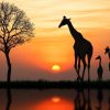 Landschap Wallgroup | Giraffe Achtergrond Met Zonsondergang Fotobehang