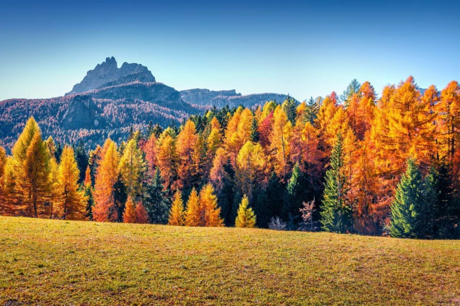 Natuur Wallgroup | Herfst In De Italiaanse Alpen Fotobehang