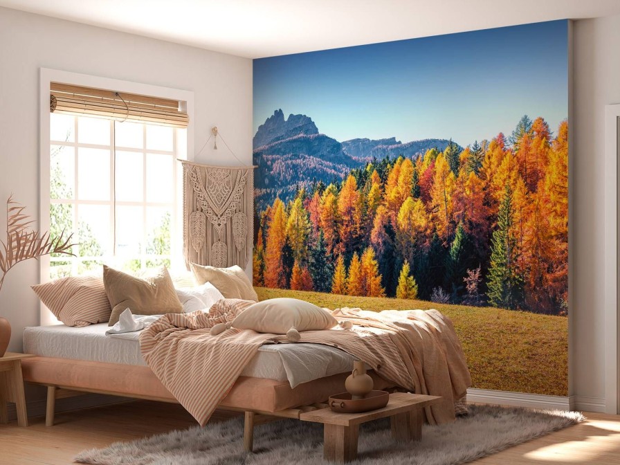 Natuur Wallgroup | Herfst In De Italiaanse Alpen Fotobehang