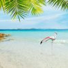 Landschap Wallgroup | Flamingo Op Tropisch Strand Fotobehang