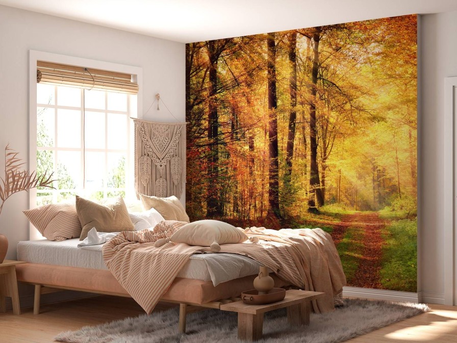 Natuur Wallgroup | Zonsopkomst In Het Bos Fotobehang