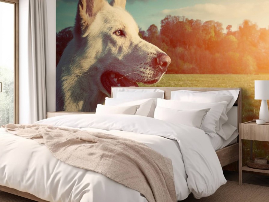 Dieren Wallgroup | Grote Witte Hond Bij Zonsondergang Fotobehang