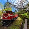 Transport Wallgroup | Rode Trein Door Een Parkje Fotobehang