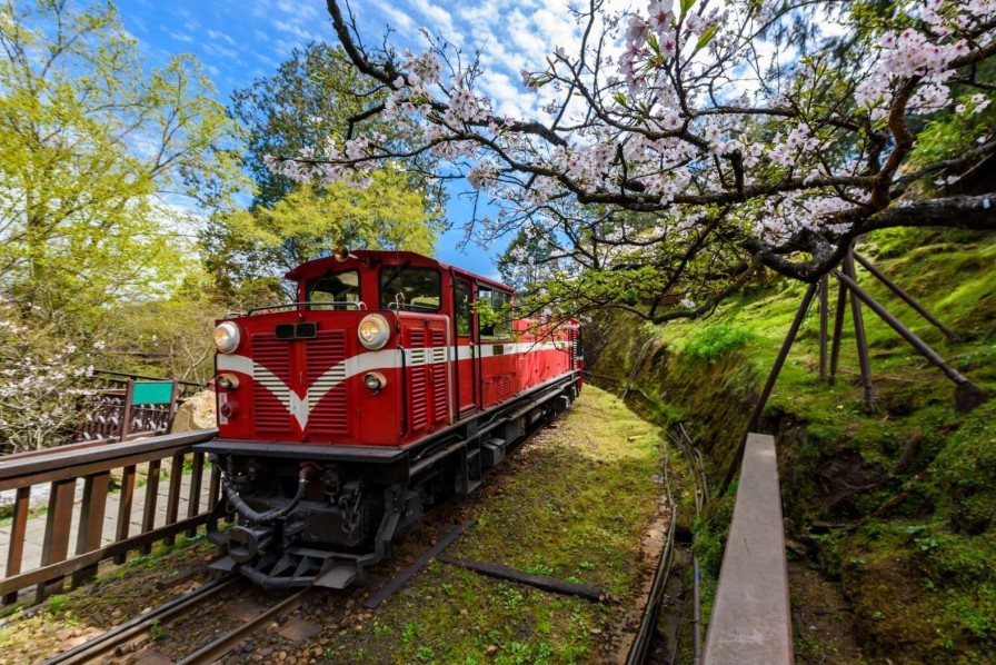 Transport Wallgroup | Rode Trein Door Een Parkje Fotobehang