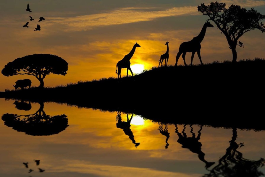 Landschap Wallgroup | Zonsondergang In Een Tropisch Gebied Fotobehang