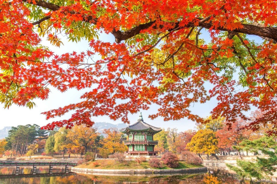 Natuur Wallgroup | Gyeongbukgung Palace In De Herfst Fotobehang