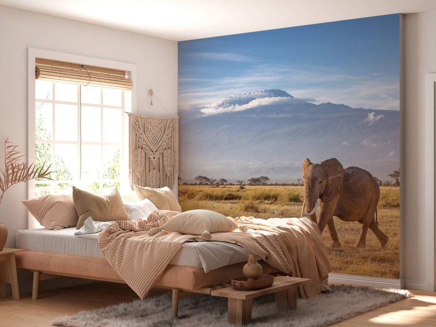 Dieren Wallgroup | Afrikaanse Olifant In Een Grasland Fotobehang