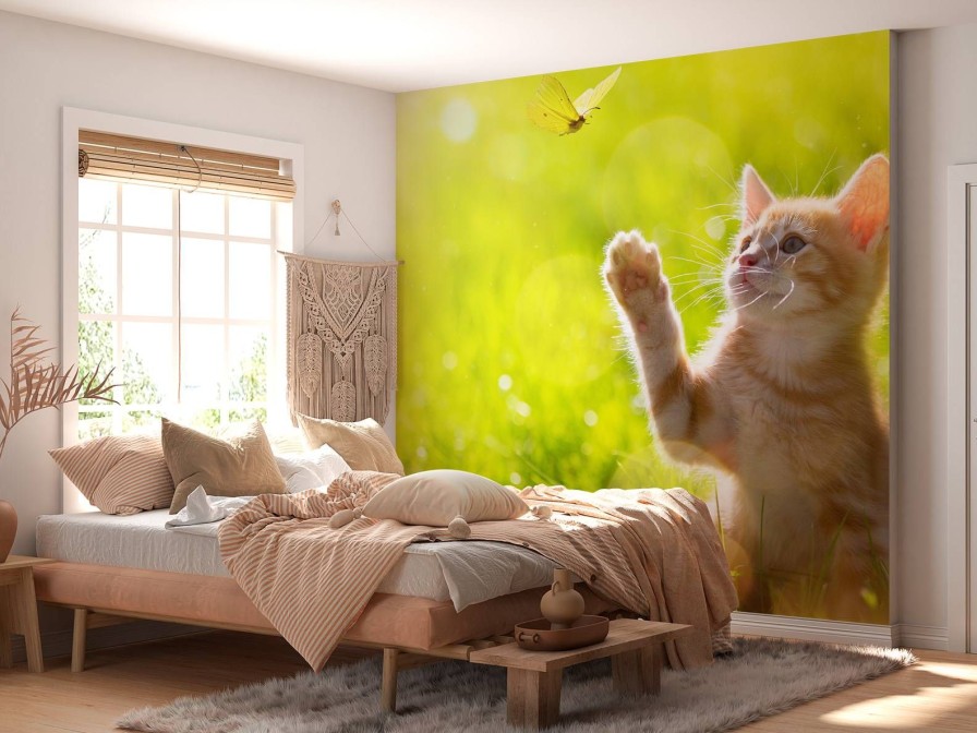 Dieren Wallgroup | Jonge Kat Probeert Een Vlinder Te Vangen Fotobehang