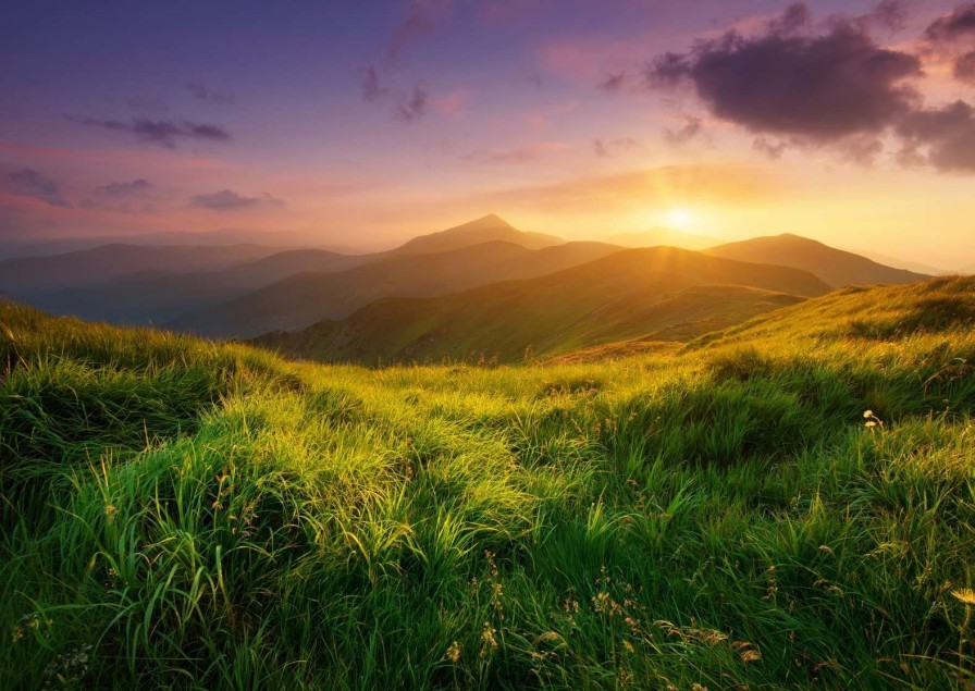 Landschap Wallgroup | Bergdal In De Zomer Fotobehang