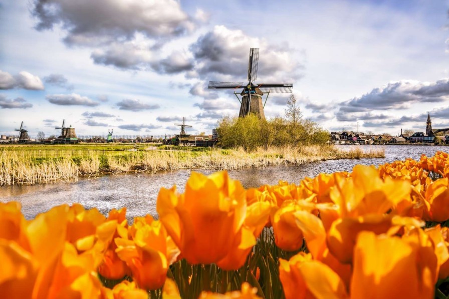 Architectuur Wallgroup | Hollandse Molen Met Oranje Tulpen Op De Voorgrond Fotobehang