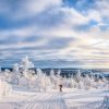 Landschap Wallgroup | Skier In Een Ingesneeuwd Bos Fotobehang