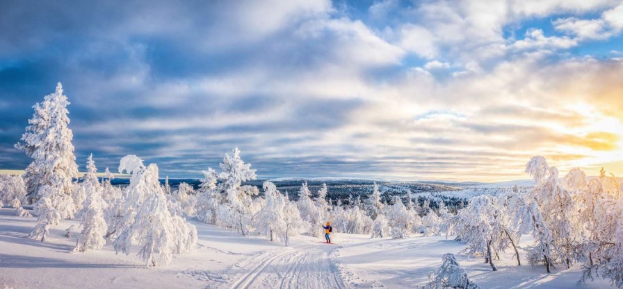 Landschap Wallgroup | Skier In Een Ingesneeuwd Bos Fotobehang