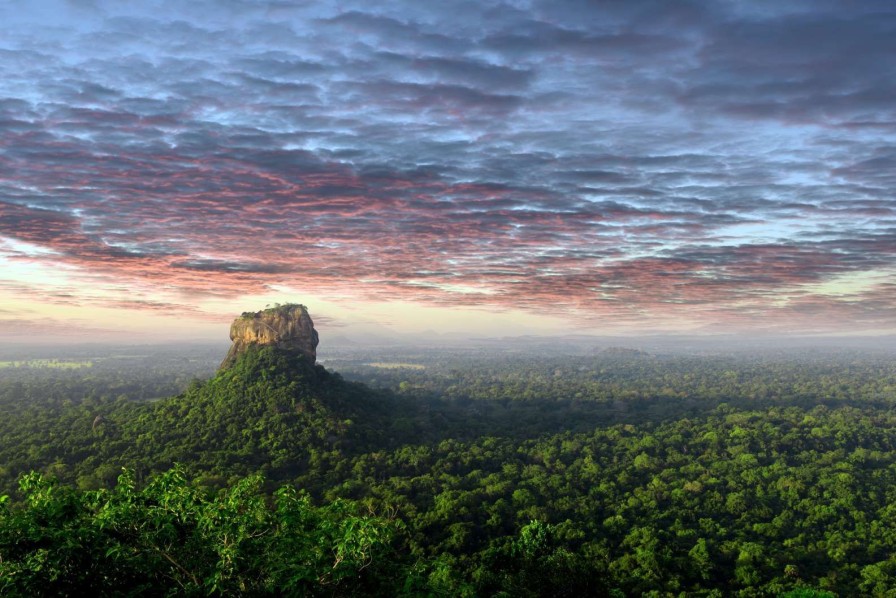 Landschap Wallgroup | Leeuwenrots In Sri Lanka Fotobehang